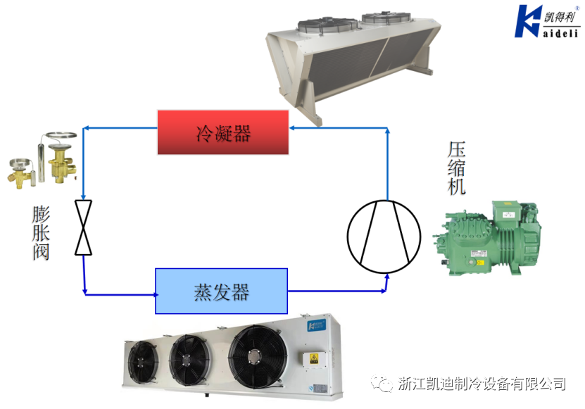 微信图片_20230524170701.png